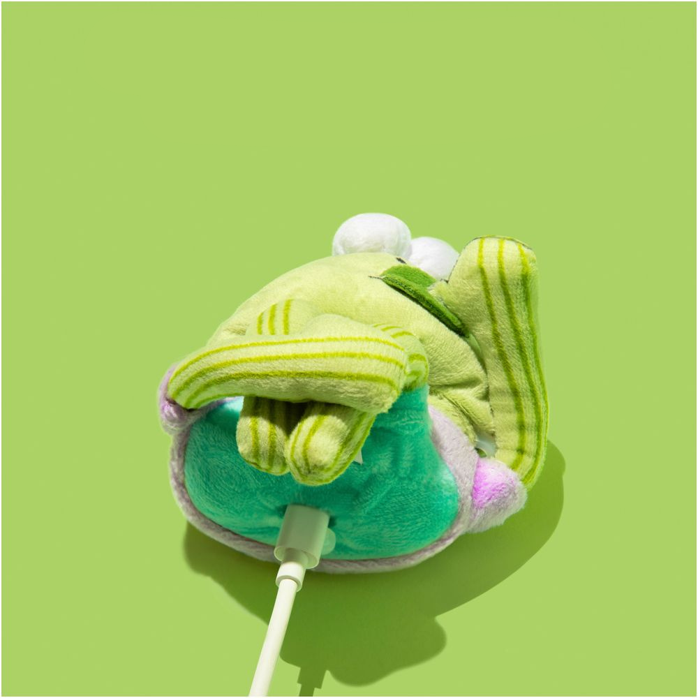 Bobby Fish AirPods Case